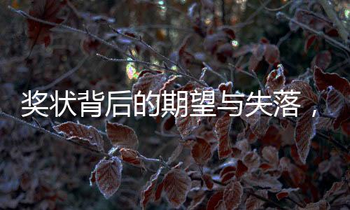 獎狀背后的期望與失落，一句含金量不高的話讓孩子心靈受傷