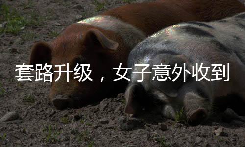 套路升級，女子意外收到騙子轉(zhuǎn)賬50萬元背后的故事