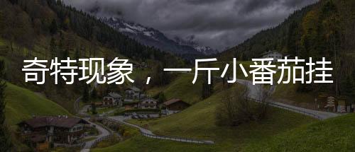 奇特現(xiàn)象，一斤小番茄掛地鐵門把手，下車后只剩半斤
