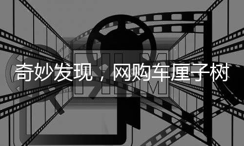 奇妙發(fā)現(xiàn)，網(wǎng)購車厘子樹苗竟結(jié)海棠果——種植研究與創(chuàng)新實例報道