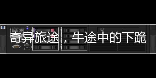 奇異旅途，牛途中的下跪驚呆主人