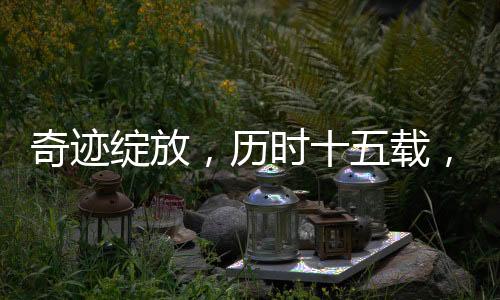 奇跡綻放，歷時(shí)十五載，尸體花首次盛開