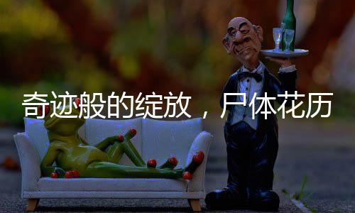 奇跡般的綻放，尸體花歷經(jīng)十五年終盛開(kāi)