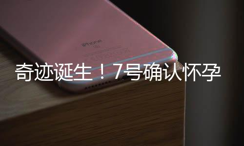 奇跡誕生！7號確認(rèn)懷孕，8號便誕生新生命——一則溫馨且獨(dú)特的生命故事