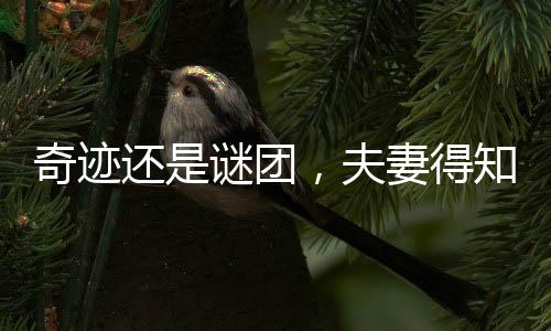 奇跡還是謎團(tuán)，夫妻得知女兒已死復(fù)活震驚社會