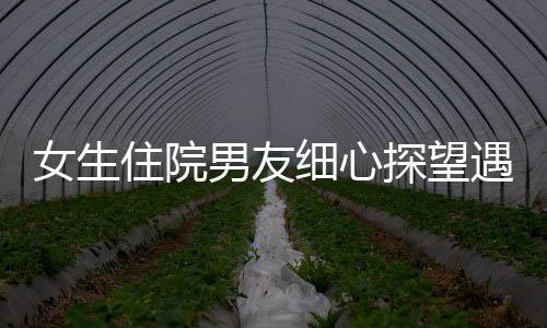 女生住院男友細(xì)心探望遇上女方爸爸 見(jiàn)證愛(ài)的力量與親情交織的美好時(shí)刻