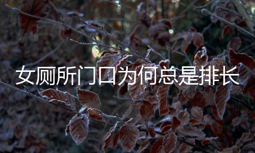 女廁所門口為何總是排長隊？背后的真相探尋