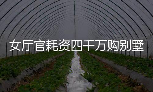 女廳官耗資四千萬購別墅，奢華裝修費高達八百五十萬——揭秘其背后的故事