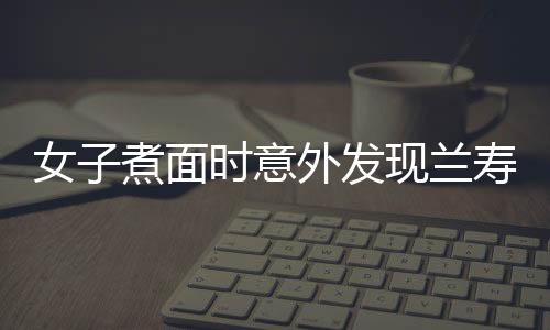 女子煮面時意外發(fā)現(xiàn)蘭壽金魚，面條細(xì)節(jié)引發(fā)網(wǎng)友熱議——面的奇遇