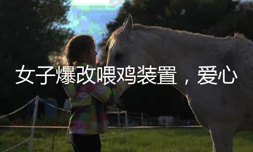 女子爆改喂雞裝置，愛(ài)心喂養(yǎng)五十只流浪貓