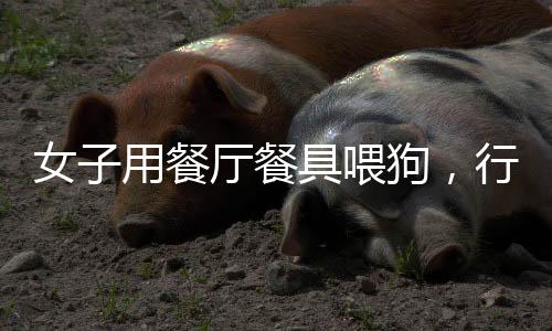 女子用餐廳餐具喂狗，行為引發(fā)熱議