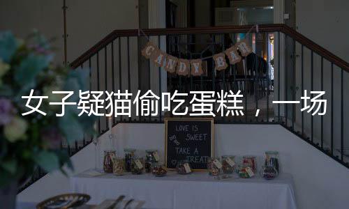 女子疑貓偷吃蛋糕，一場人貓之間的誤解引發(fā)的深思