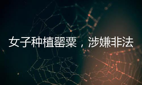女子種植罌粟，涉嫌非法種植的九百余株隱患解析