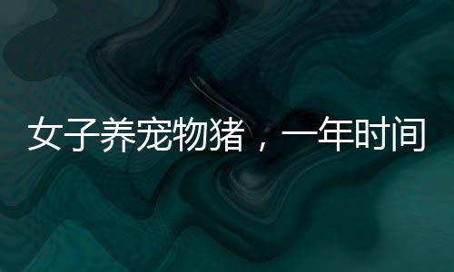女子養(yǎng)寵物豬，一年時間猛長到300多斤，寵物養(yǎng)肥記