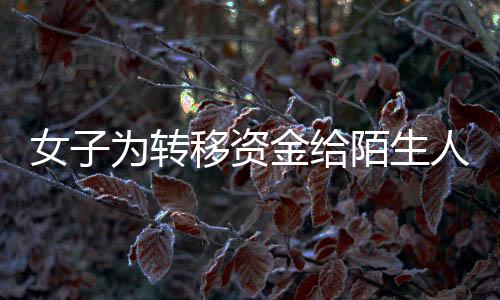 女子為轉(zhuǎn)移資金給陌生人匯款達(dá)1.7億，巨額交易背后的真相