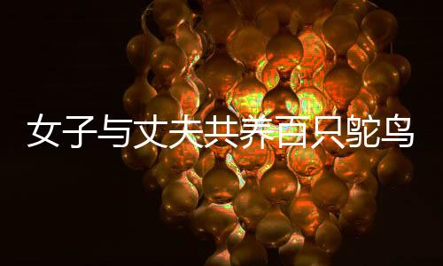 女子與丈夫共養(yǎng)百只鴕鳥，開設(shè)鴕鳥吃播，展現(xiàn)別樣的鄉(xiāng)村生活情趣