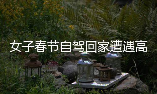 女子春節(jié)自駕回家遭遇高速擁堵，分享經(jīng)歷引發(fā)關(guān)注