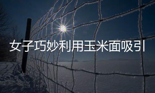 女子巧妙利用玉米面吸引二級保護(hù)動物，人與自然的和諧新篇章