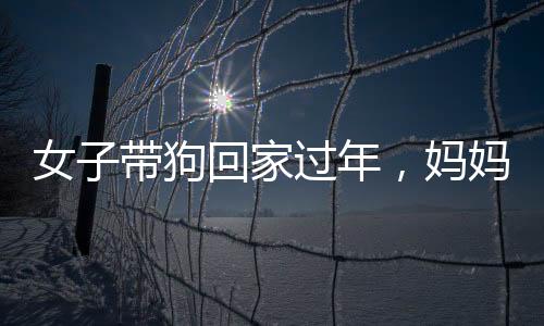 女子帶狗回家過年，媽媽反應(yīng)成亮點新聞