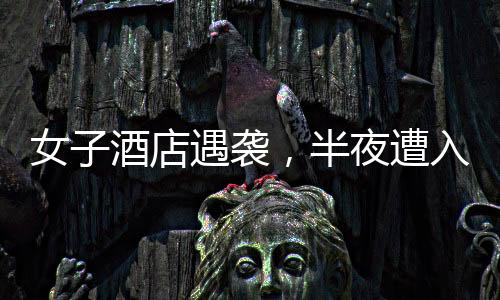 女子酒店遇襲，半夜遭入室猥褻事件揭秘，警方迅速介入調查