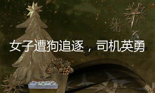 女子遭狗追逐，司機(jī)英勇驅(qū)趕——善良與勇敢在我們身邊