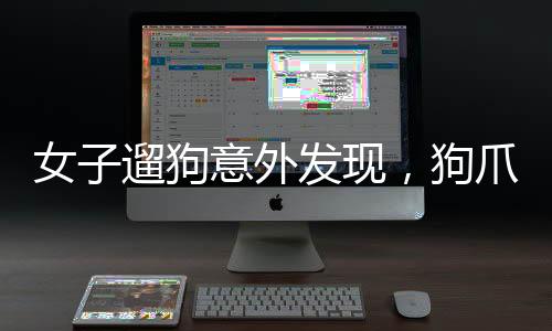 女子遛狗意外發(fā)現(xiàn)，狗爪夾回一顆價值驚人的金豆——一顆3克重的金色寶藏揭示的故事