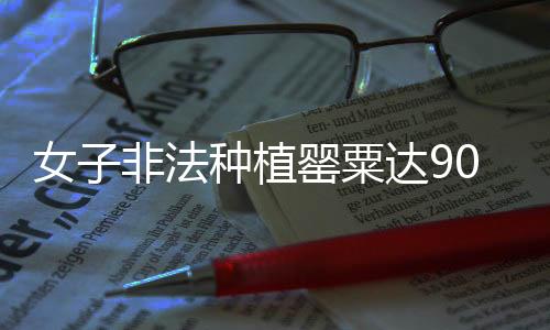 女子非法種植罌粟達(dá)900余株，涉嫌違法被查處