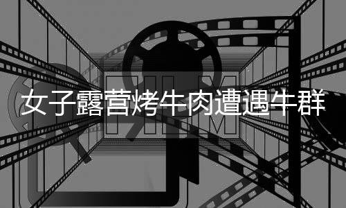 女子露營(yíng)烤牛肉遭遇牛群，牛肉被吃光事件引起廣泛關(guān)注