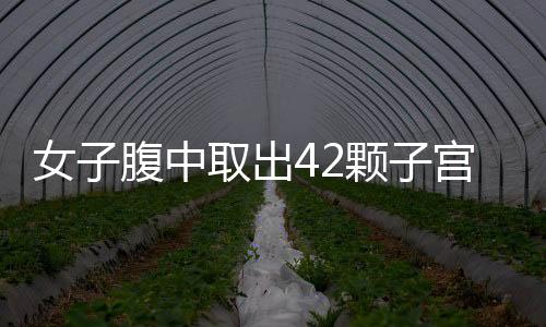 女子腹中取出42顆子宮肌瘤，現(xiàn)代醫(yī)學(xué)的奇跡與女性的健康警示