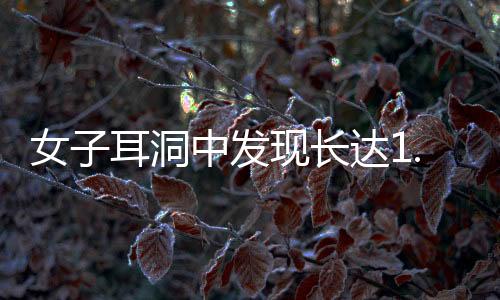 女子耳洞中發(fā)現(xiàn)長達1.5厘米的瘤狀物，醫(yī)學界正對其進行研究探討