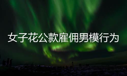 女子花公款雇傭男模行為揭秘，情感消費背后的代價與社會警示