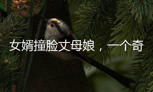 女婿撞臉丈母娘，一個奇特的現(xiàn)象觀察與深度解析