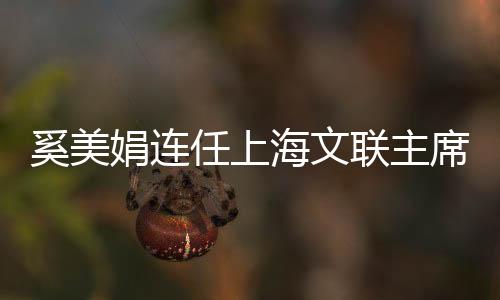 奚美娟連任上海文聯(lián)主席，文藝界的璀璨明星續(xù)寫新篇章
