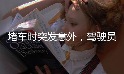 堵車時突發(fā)意外，駕駛員與大鵝發(fā)生沖突