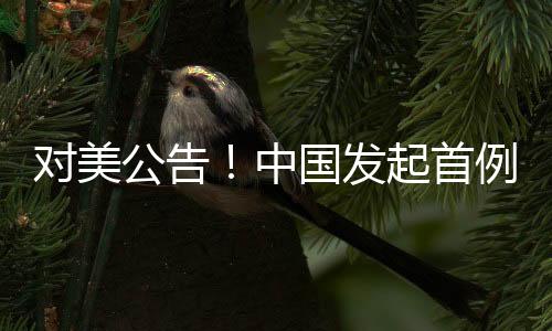 對美公告！中國發(fā)起首例反規(guī)避調(diào)查，全球貿(mào)易格局面臨新的挑戰(zhàn)