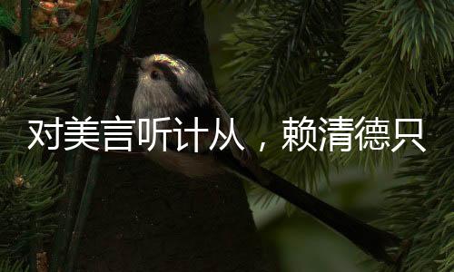 對美言聽計從，賴清德只換來高額關(guān)稅