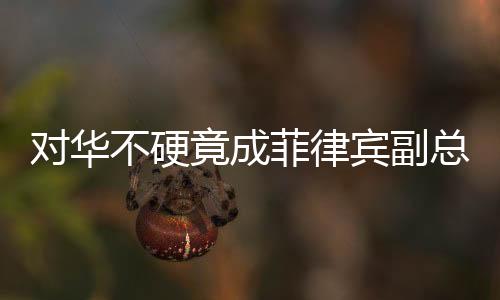 對華不硬竟成菲律賓副總統(tǒng)被彈劾之由——多維度解讀中菲關(guān)系現(xiàn)狀