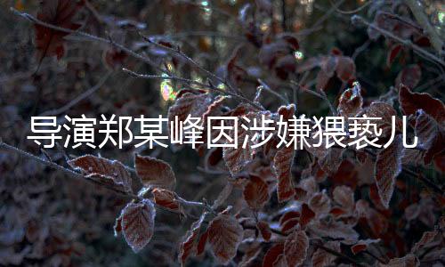 導(dǎo)演鄭某峰因涉嫌猥褻兒童被刑事拘留，業(yè)界震驚