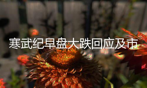 寒武紀(jì)早盤大跌回應(yīng)及市場(chǎng)觀察