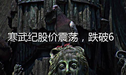 寒武紀(jì)股價(jià)震蕩，跌破600元大關(guān)——股市分析與展望