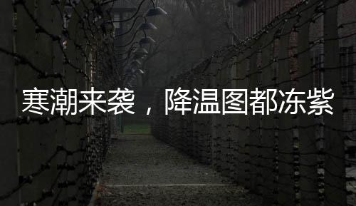 寒潮來襲，降溫圖都凍紫了——天氣預(yù)警與應(yīng)對指南