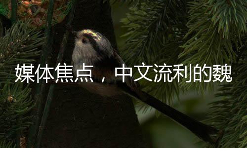 媒體焦點，中文流利的魏德爾搶盡風頭