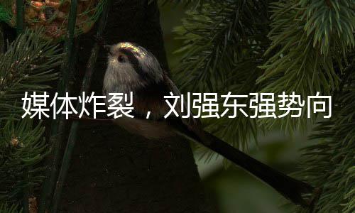 媒體炸裂，劉強東強勢向美團宣戰(zhàn)！兩大巨頭開啟商業(yè)爭霸新篇章