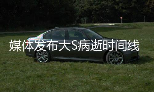 媒體發(fā)布大S病逝時(shí)間線