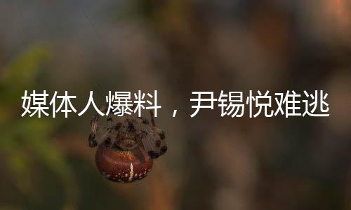 媒體人爆料，尹錫悅難逃牢獄之災