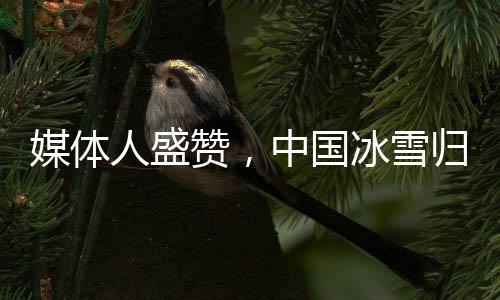媒體人盛贊，中國冰雪歸化策略取得巨大成功