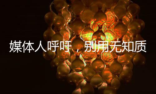 媒體人呼吁，別用無(wú)知質(zhì)疑張志磊打假拳