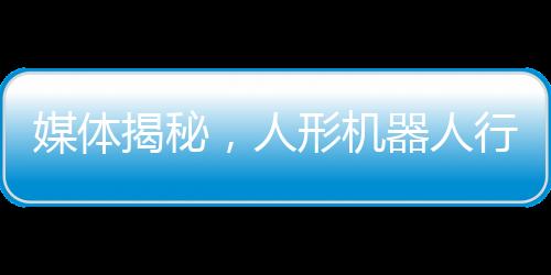 媒體揭秘，人形機(jī)器人行業(yè)面臨價格戰(zhàn)——如何在激烈競爭中謀求生存與發(fā)展