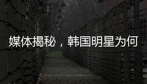 媒體揭秘，韓國明星為何頻頻陷入困擾與壓力——探究背后的深層原因