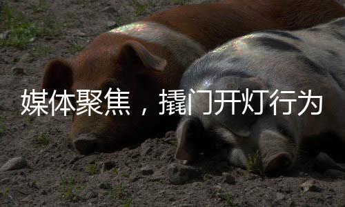 媒體聚焦，撬門開燈行為不是寵客，實為趕客